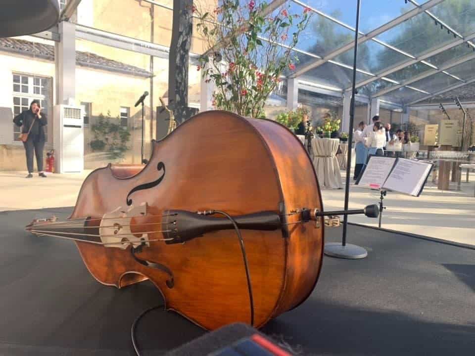 Double bass instrument displayed in a glass conservatory at Château Yquem.