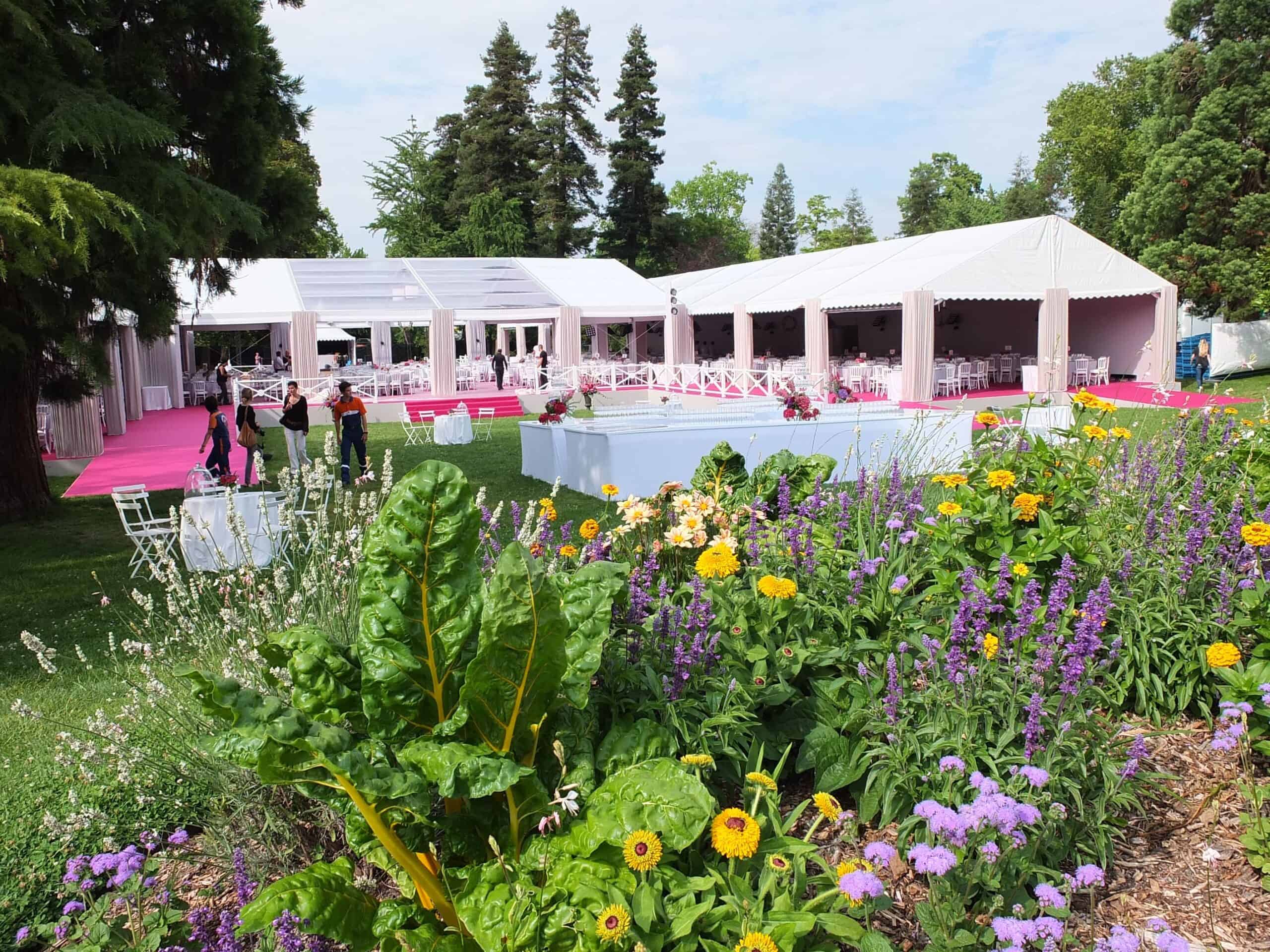 Outdoor flower festival with tents, tables, and vibrant flower beds.